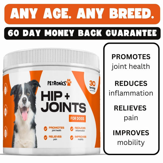 Hip & Joints Pain Relief For All Dogs