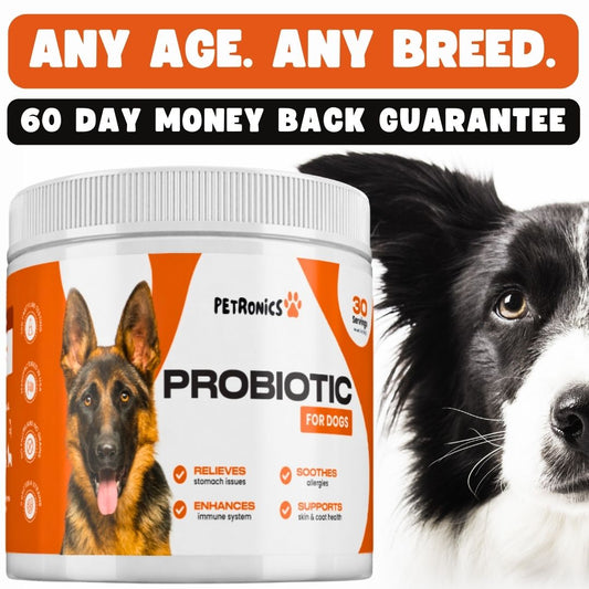 Probiotic Gut Balance for All Dogs