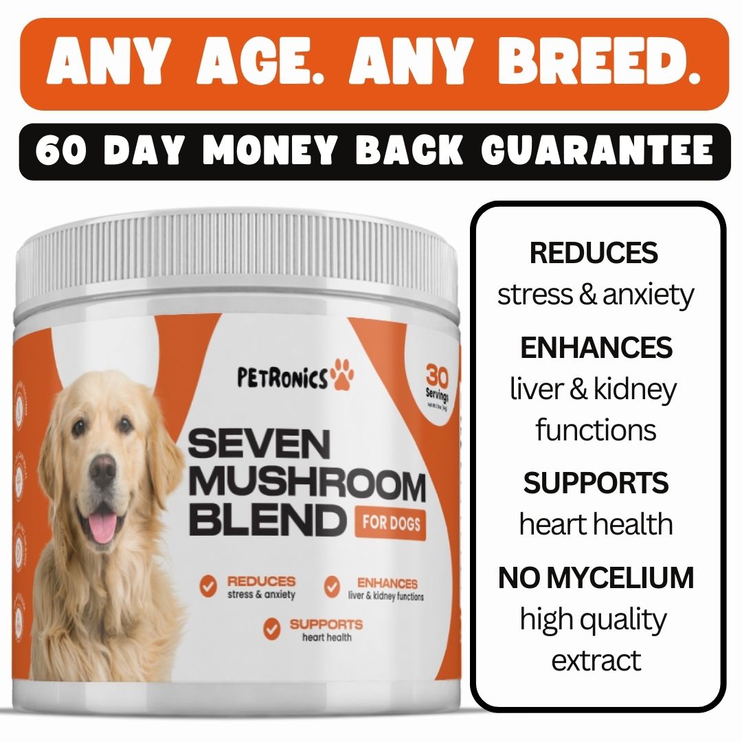 7 Mushroom Blend Anxiety Relief for All Dogs